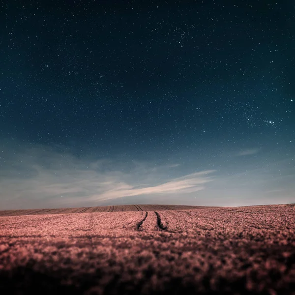 A mező a csillagos ég — Stock Fotó
