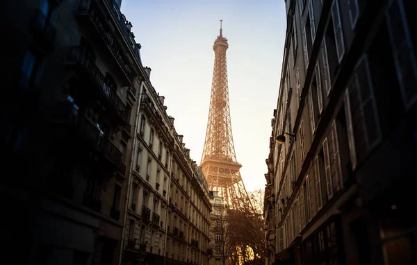 Eiffel tower in Paris — Stock Photo, Image