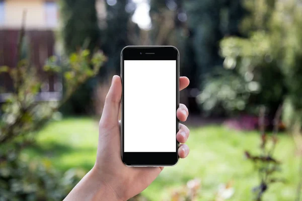 Hand holding smartphone with blank screen