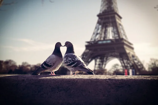 Valentins liebenswerte Silhouette auf dem Eiffelturm — Stockfoto