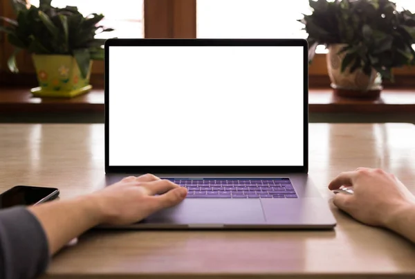 Manliga Händer Tangentbord Powered Laptop Suddig Planters Bakgrund — Stockfoto