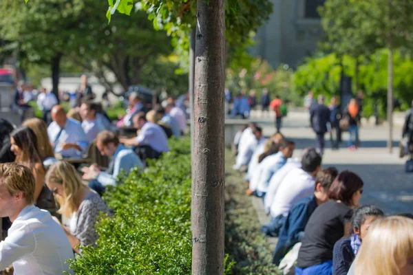 Trabalhadores de escritório almoçando no parque ao lado da catedral de São Paulo. Londres, Reino Unido — Fotografia de Stock