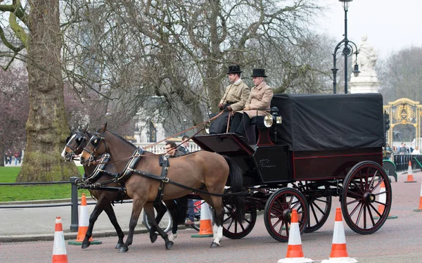 Londra Ngiltere Şubat 2017 Yüzyıl Iki Atlar Buckingham Sarayı Önünde — Stok fotoğraf