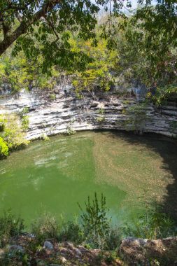 Hipotermik Sagrado, Chichen Itza, kutsal su kuyusu. Yucatan, Meksika