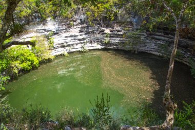 Hipotermik Sagrado, Chichen Itza, kutsal su kuyusu. Yucatan, Meksika