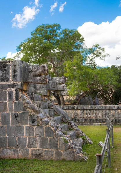 メキシコ ユカタン マヤの偉大なボール裁判所および寺院のジャガー — ストック写真