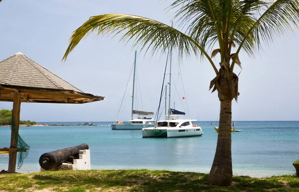 Antigua Isole Dei Caraibi English Harbour Maggio 2017 English Harbour — Foto Stock