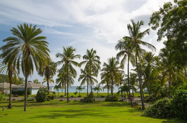 Antigua Islas Del Caribe Puerto Inglés Mayo 2017 Jardín Idílico — Foto de Stock