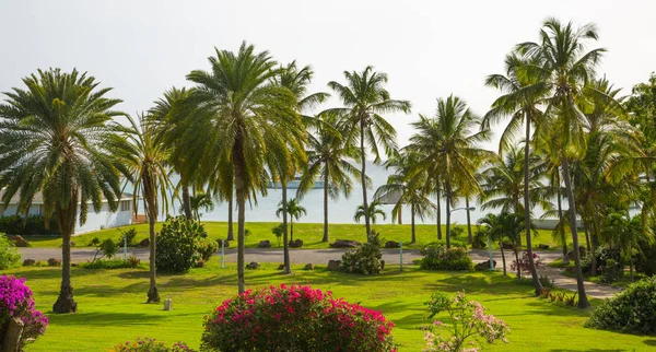 Antigua Islas Del Caribe Puerto Inglés Mayo 2019 Gallon Beach — Foto de Stock