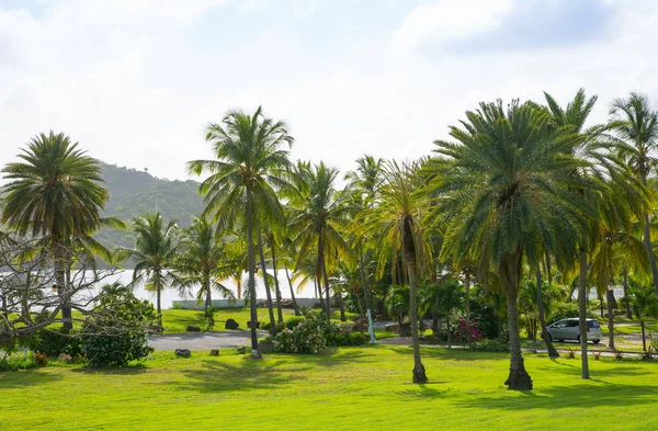 Antigua Caribbean Islands English Harbour May 2017 Freeman Bay View — 스톡 사진