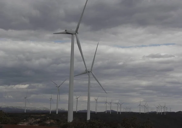 Farma wiatrowa zainstalowana w Brazylii — Zdjęcie stockowe