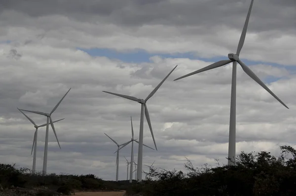 Ветроэлектростанции Бразилии — стоковое фото