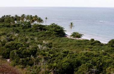Trancoso 'daki yerli plajı.