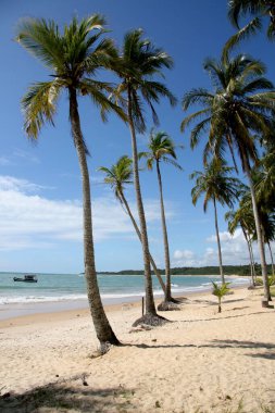 Porto Seguro 'daki Trancoso plajı.