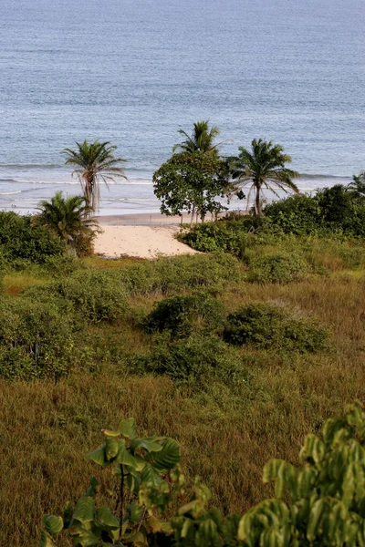 Inheems strand in Trancoso — Stockfoto