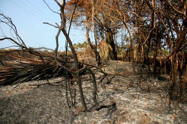  Itabuna 'da yangın salgını