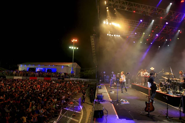 Cantante Nando Reis durante el concierto — Foto de Stock