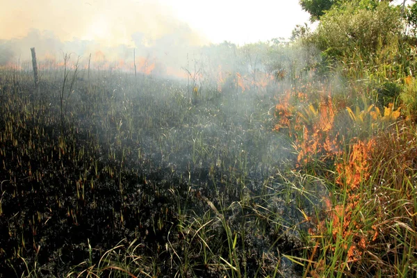 Brand udbrud i Itabuna - Stock-foto