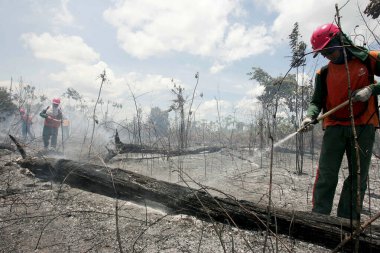 Bahia 'da orman yangını