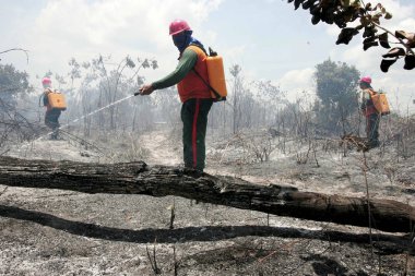 Bahia 'da orman yangını