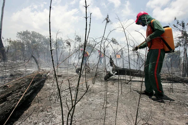 Incendio forestal en Bahía — Foto de Stock
