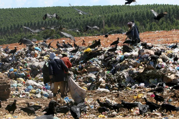 Recolha de material de reciclagem de lixo — Fotografia de Stock