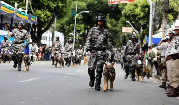 Strijdkrachten van Brazilië — Stockfoto