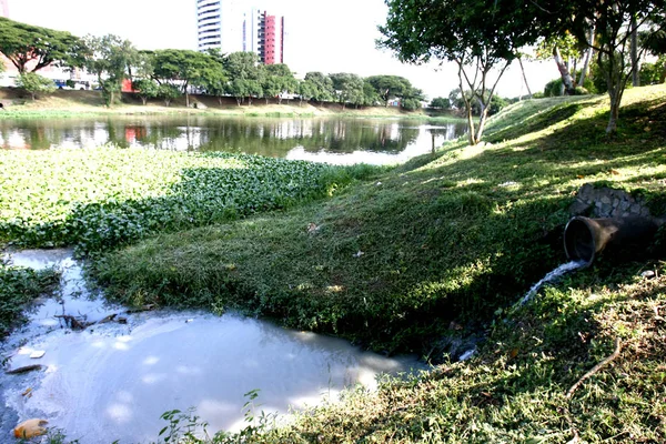 Água contaminada por águas residuais — Fotografia de Stock