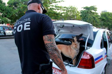 Salvador 'da uyuşturucu arayan bir köpek.