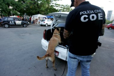 Salvador 'da uyuşturucu arayan bir köpek.
