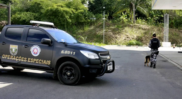 Policie hledá bankovní lupiče v Salvadoru — Stock fotografie