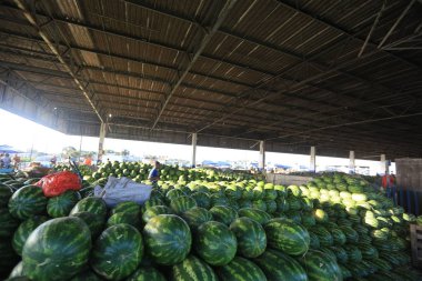Karpuz hasadı ve ekme