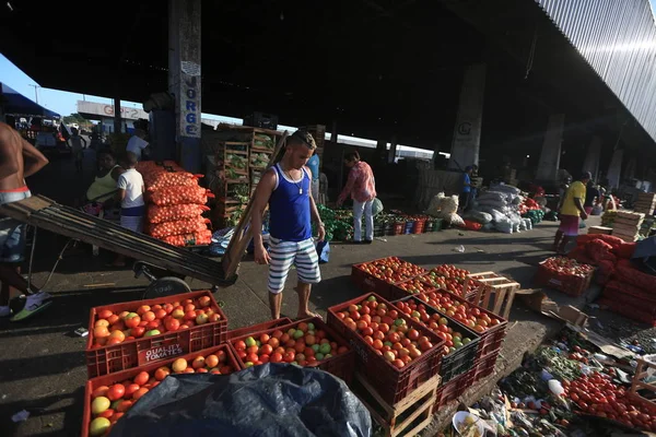 stock image hotfrutes in Ceasa of Salvador city