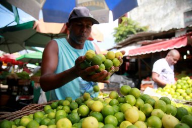 Sao Joaquim Fuarında limon satıcısı