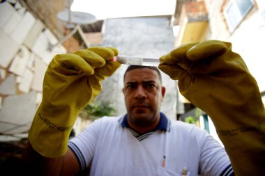 aedes aegypti sivrisineğine karşı savaş