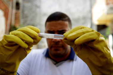 aedes aegypti sivrisineğine karşı savaş