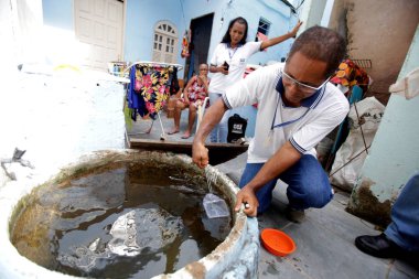 aedes aegypti sivrisineğine karşı savaş