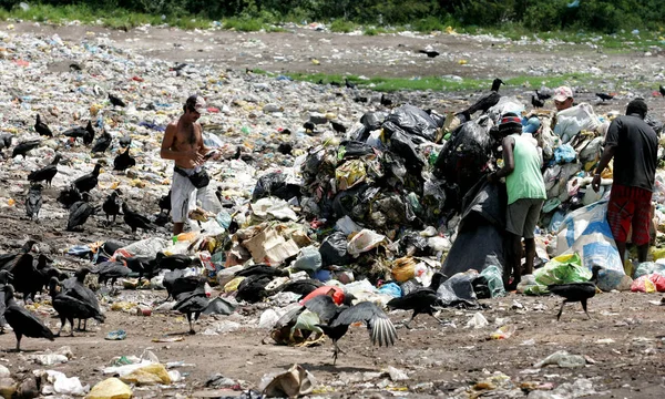 Garbage recycling material collectors — Stock Photo, Image