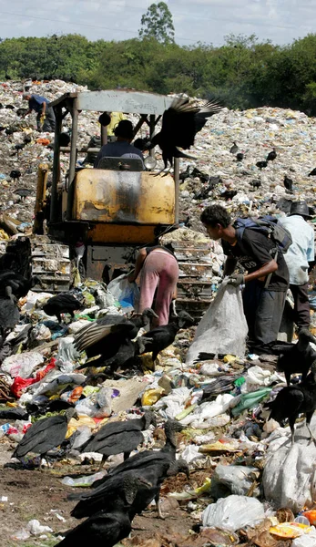 垃圾回收物料收集 — 图库照片