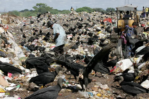Coletores de material de reciclagem de lixo — Fotografia de Stock