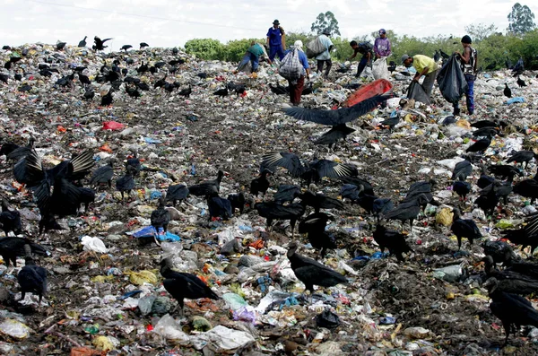 Recolectores de material de reciclaje de basura —  Fotos de Stock