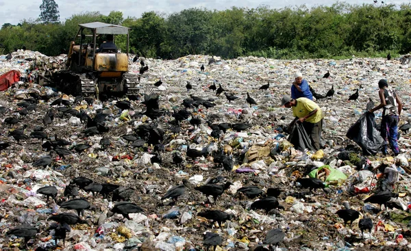 Coletores de material de reciclagem de lixo — Fotografia de Stock