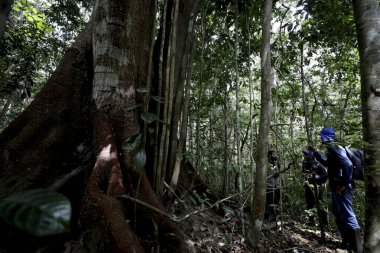Özel rezervde yüzüncü ağaç