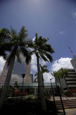 Salvador 'daki petrobras binası