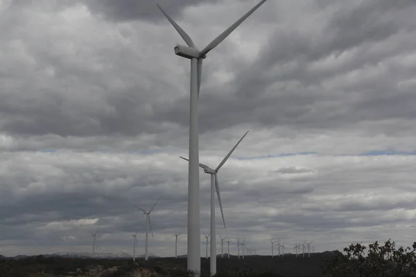 Ветроэлектростанции Бразилии — стоковое фото