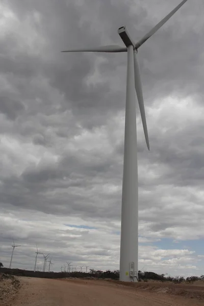 Parc éolien installé au Brésil — Photo