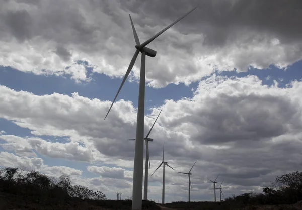 Farma wiatrowa zainstalowana w Brazylii — Zdjęcie stockowe