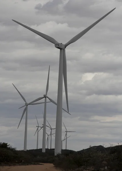 Farma wiatrowa zainstalowana w Brazylii — Zdjęcie stockowe