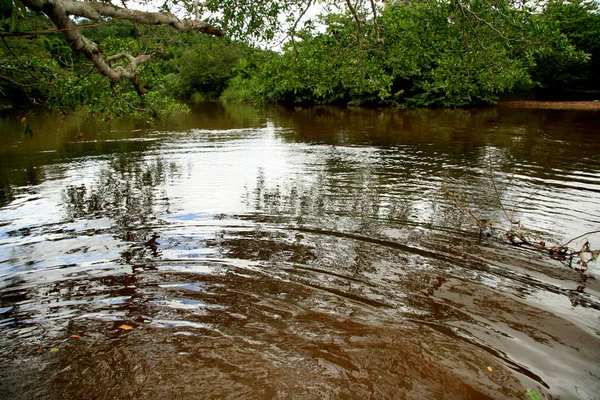 View of buranhem river in eunapolis — Stock Photo, Image