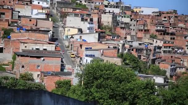 Salvador Bahia Brazil December 2019 View Slum Dwellings Neighborhood Engomadeira — Stock Video
